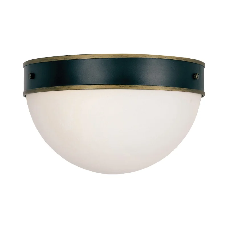 Energy - efficient track lighting fixturesCapsule Outdoor Flush Mount Ceiling Light