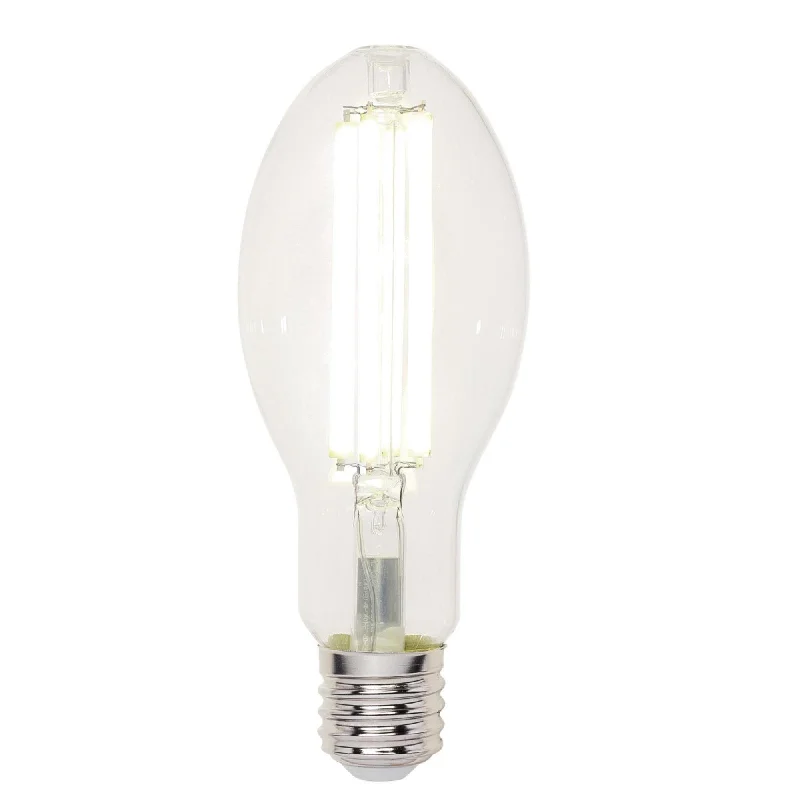 Track lighting for modernizing traditional interiorsWestinghouse 52251 32 Watt ED28 High Lumen Filament LED Light Bulb 5000K Track lighting for modernizing traditional interiorsWestinghouse 52251 32 Watt ED28 High Lumen Filament LED Light Bulb 5000K