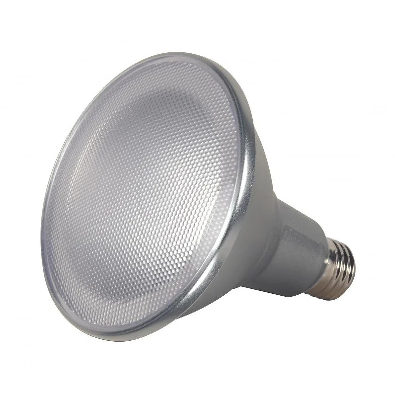 Track lighting for illuminating walkwaysSatco S29446 15 Watt LED Par38 Flood Light Bulb Medium Base 3000K