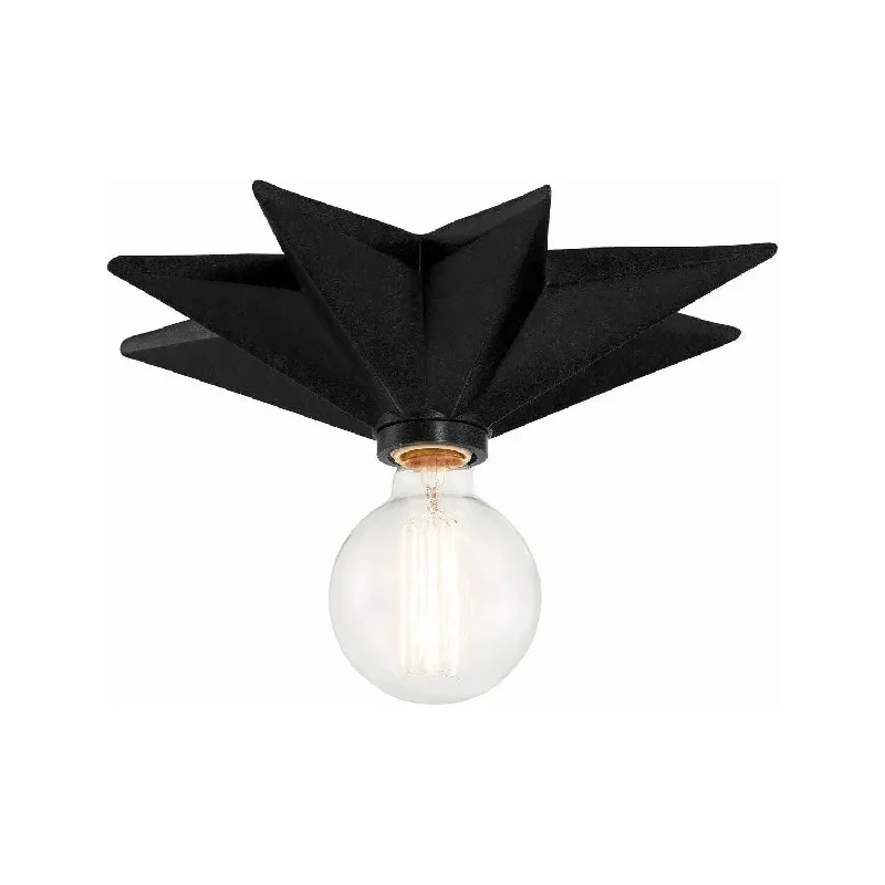 Track lighting with motion - sensor capabilitiesAstro Ceiling Mount