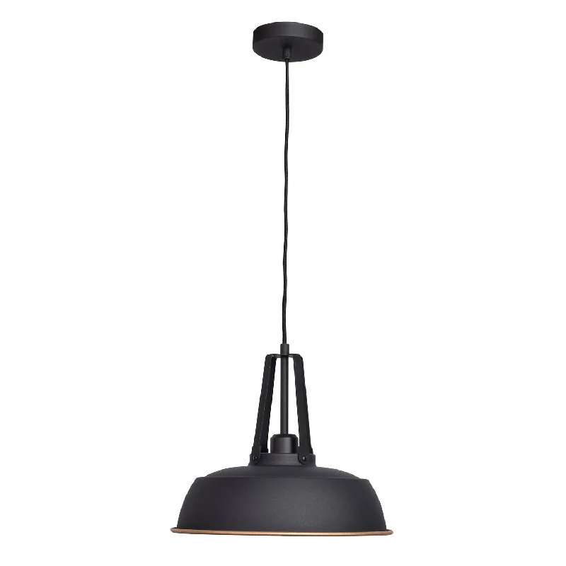 Contemporary Ceiling Lights with Unique, Abstract ShapesContemporary Ceiling Lights with Unique, Abstract ShapesNostalgia One Light Pendant
