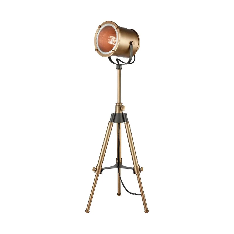 leather table lamps with a distressed texture for a rugged charmleather table lamps with a distressed texture for a rugged charmDimond Lighting Ethan Aged Brass Metal Tripod Lamp